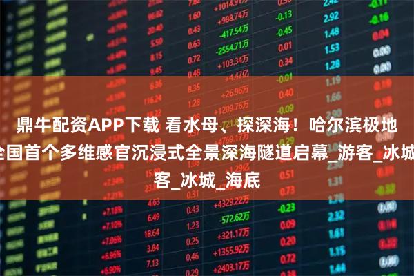 鼎牛配资APP下载 看水母、探深海！哈尔滨极地公园全国首个多维感官沉浸式全景深海隧道启幕_游客_冰城_海底