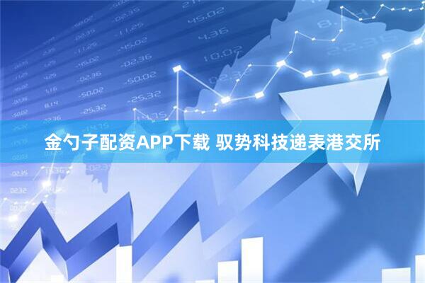 金勺子配资APP下载 驭势科技递表港交所